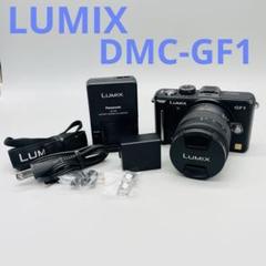 2025年最新】dmc-gf1 レンズの人気アイテム - メルカリ