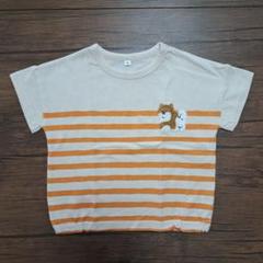 子供服　Tシャツ　半袖　ボーダー　保育園着　90