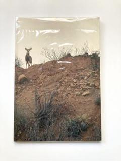 Peter Sutherland 　写真集「Buck Shots」鹿　森自然　街