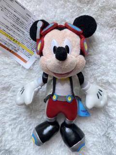 ディズニー 貴重なぬいばセット 美品 Amazon | ディズニーシー 18周年 グッズ ぬいぐるみバッジ