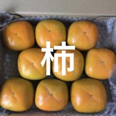 奈良県西吉野産ハウス柿9玉入り宅配コンパクト⑦のサムネイル