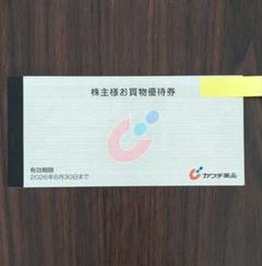 カワチ薬品 株主優待 5000円分 割引券 お買物券 - メルカリ