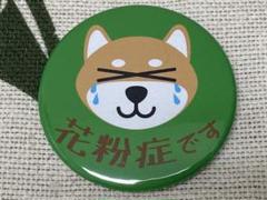 缶バッジ 花粉症 柴犬涙 クリップピン 缶バッチ