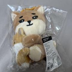 【新品未使用】DAY6 デニマルズ　コスチューム グッズ【公式】 DAY6 Japan FC デニマルズ キーホルダー＆ITINERARYの通販 by