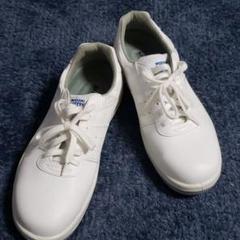 ミドリ安全スニーカー SAFETY SNEAKER MIDORI 安全靴