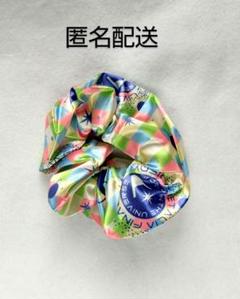 ヘタミュ ヘタライ シュシュ ②のサムネイル