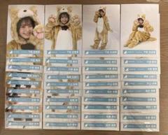 日向坂46 5期生 どうぶつ着ぐるみ 生写真 フルコンプ - メルカリ