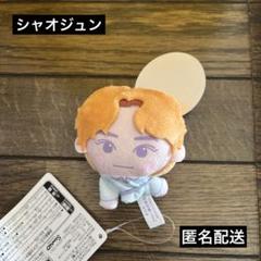シャオジュン ccomaz ぬいぐるみ Amazon.co.jp: NCT CCOMAZ ぬいぐるみ 缶 WayV シャオジュン