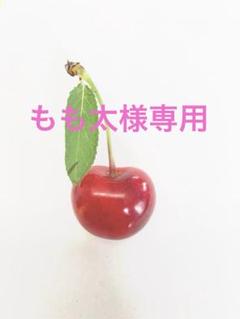 紅秀峰　2キロ　訳あり商品　もも太 Amazon.co.jp: 北海道産 増毛町 さくらんぼ 紅秀峰 1kg (秀品/2L