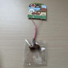 激レア！希少！カピバラさん ご当地 ストラップ ボールペン まとめ売り その他 | 雑貨 | グッズ | カピバラさん