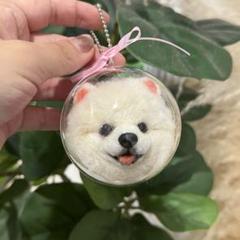 羊毛　フェイスマスコット　うちの子　ポメラニアン　くま　ストラップ　犬　ペット