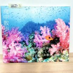 海中散歩　鍵井靖章　写真集　匿名配送