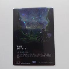 2025年最新】mtg 繁殖池 foilの人気アイテム - メルカリ