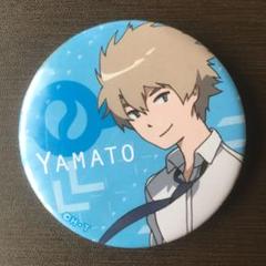 デジモンアドベンチャー　石田ヤマト　缶バッジ　キーホルダー　11個セット 10723566.jpg
