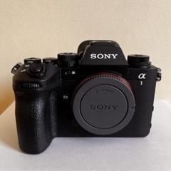SONY α1 II ILCE-1M2ボディ、メモリーカード2枚シリコンケース付 SONY α1 II ILCE-1M2ボディ、メモリーカード2枚シリコンケース付