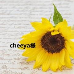 [新品] セザンヌ 毛穴レスパウダー クリアタイプのサムネイル