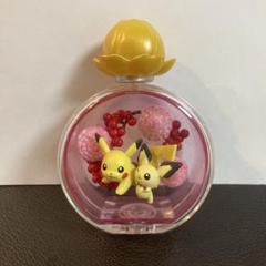 2025年最新】ポケモン petite fleurの人気アイテム - メルカリ