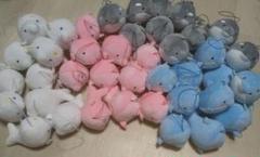 ゆるいるか もちふわ ミニぬいぐるみ みいるか ぬいぐるみ 50体 Amazon.co.jp: ゆるいるか もちふわミニぬいぐるみ イルカ