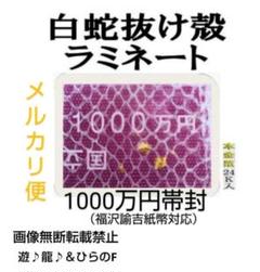 1000万円の大帯封小帯一式 一粒万倍日 1_5a9a77be094a71cc058dbb0694b5