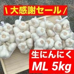 大感謝セール】新物 青森県産 生にんにく ML 5kg福地ホワイト六