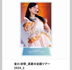 金川紗耶 BIG アクリルスタンド アクスタ 乃木坂46 乃木坂 当選品 金川紗耶 BIG アクリルスタンド アクスタ 乃木坂46 乃木坂 当選品