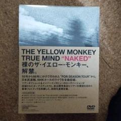 2025年最新】THE YELLOW MONKEY TRUE MINDの人気アイテム - メルカリ