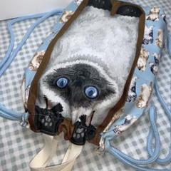 へそ天猫柄ペルシャ猫柄リュックナップサック