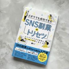 ズボラでも成功できる SNS副業のトリセツ