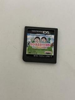 ちびまる子ちゃんDS まるちゃんのまち DS
