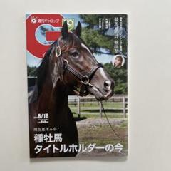 JRA 謹賀新年 2015年 記念品 JRA 謹賀新年 2015年 記念品