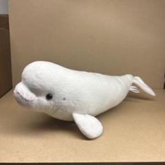 美品 名古屋港水族館シロイルカ ベルーガぬいぐるみ特賞95センチ シロイルカ ベルーガ 名古屋港水族館 ぬいぐるみ 名古屋港水族館
