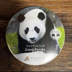 楓ちゃん　楓浜　パンダ　グッズ3点セット　缶バッチ　アクスタ　ピンズ　浜家　AW ありがとう楓浜 缶バッジ4種 アドベンチャーワールド - メルカリ