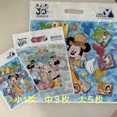 東京ディズニーリゾート ビニールバッグセット 61FndlUwNqL._UF350,350_QL50_.jpg