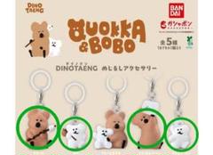 ダイノテン めじるし クォッカ QUOKKA ボボ BOBO