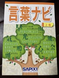 最新版sapix言葉ナビ上下巻　新品未使用 71y90uPcqWL._UF350,350_QL50_.jpg