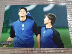 大谷翔平　ハイライトフォト　６枚セット 2014 2015 2016 2017 2025年最新】大谷翔平 ハイライトの人気アイテム - メルカリ