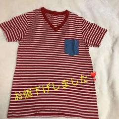 TMT ボーダー Tシャツ 美品