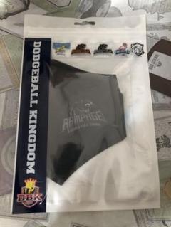 ドッチボールキングダムTHE RAMPAGEスウェットパンツ(値下げしま