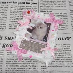 ホイップデコ　硬質ケース　トレカケース　ピンク　B8