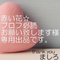 購入前コメント必須 プロフ必読 さま専用 - メルカリ