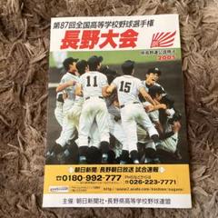 第87回全国高等学校野球選手権大会 2005