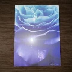 THE NOVEMBERS ROSES 2枚組CD +DVD THE NOVEMBERS 「ROSES」 CD＋DVD ｜ジャパニーズポップス