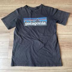 値下げパタゴニア キッズTシャツ　M10