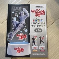 新品★はたらく細胞【キラーT細胞】プリンセスカフェ★アクリルスタンド★アクスタ はたらく細胞 アクリルスタンド＿キラーT細胞