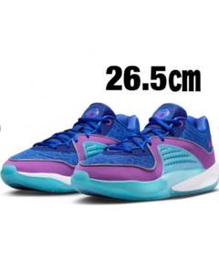 NIKE KD16 EP ナイキ ケビンデュラント 26.5のサムネイル
