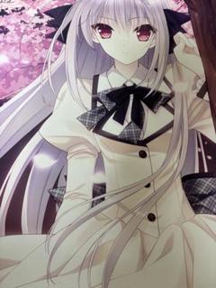 2025年最新】月に寄りそう乙女の作法 桜小路ルナ タペストリーの