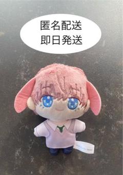 Amazon.co.jp: 誰か夢だと言ってくれ ぬいパル ぬいくるみ