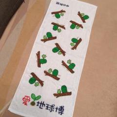 2025年最新】モリゾー タオルの人気アイテム - メルカリ
