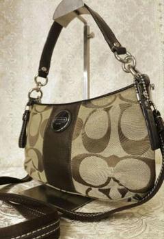COACH コーチ　2WAY　ショルダーバッグ　F17439　キャンバス　PVC