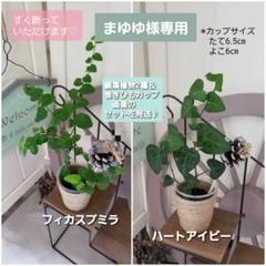 根卓 天然無垢材 透かし根彫り 花台 香台 盆栽台 約3㎏ 小型 古木 根卓 透かし彫り 花台 香台 盆栽台 - メルカリ